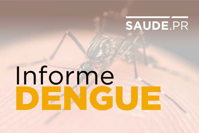 Confira a lista das 17 cidades do PR em situação de emergência pela pandemia da dengue