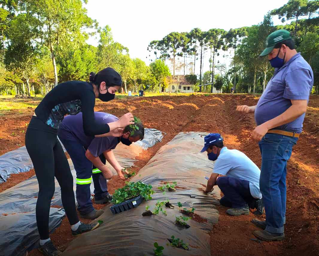 Piraí do Sul realiza recolhimento itinerante de embalagens vazias de agrotóxicos em parceria com a ADINP