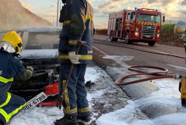 Equipe de bombeiros próximos ao carro, após conter as chamas.