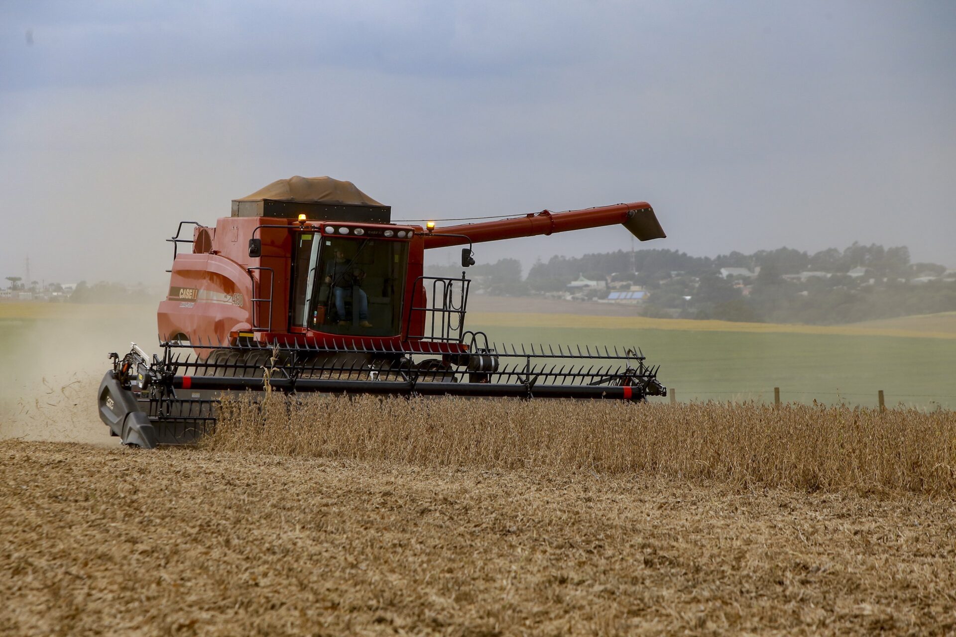 Estudo aponta redução na área plantada de alimentos tradicionais no Brasil até 2031