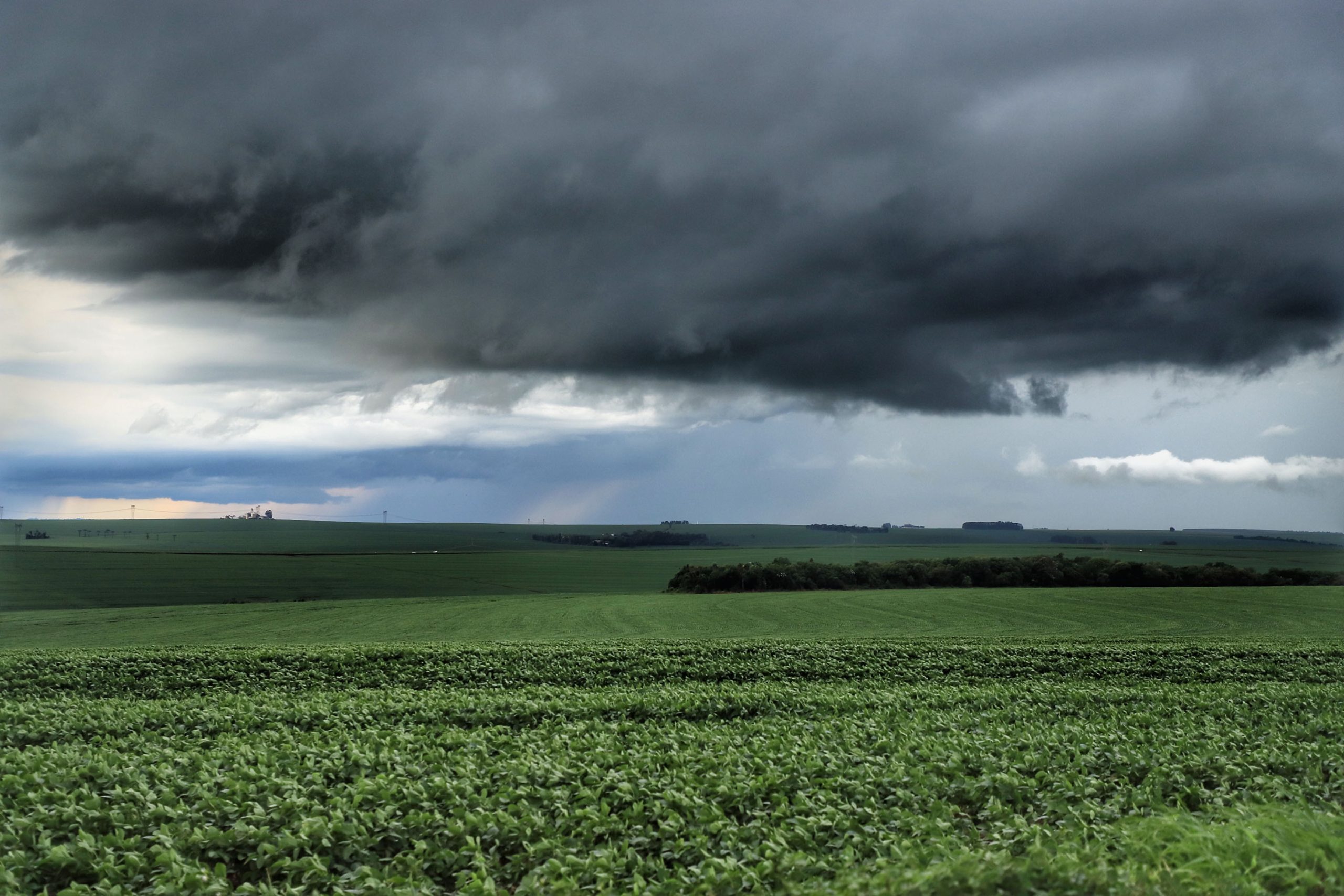 Fenômeno La Niña chega ao Brasil e preocupa agricultores