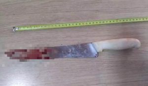 Neto de consideração mata idoso com facada no pescoço e confessa crime