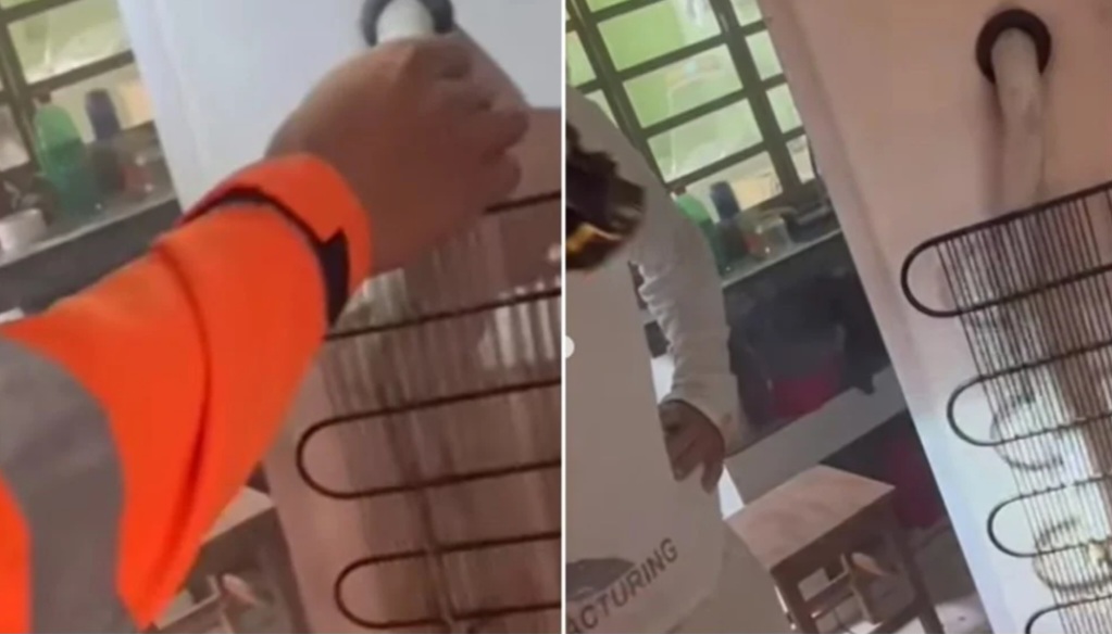 Vídeo: Morador confunde peça de geladeira com cobra e pede ajuda dos bombeiros