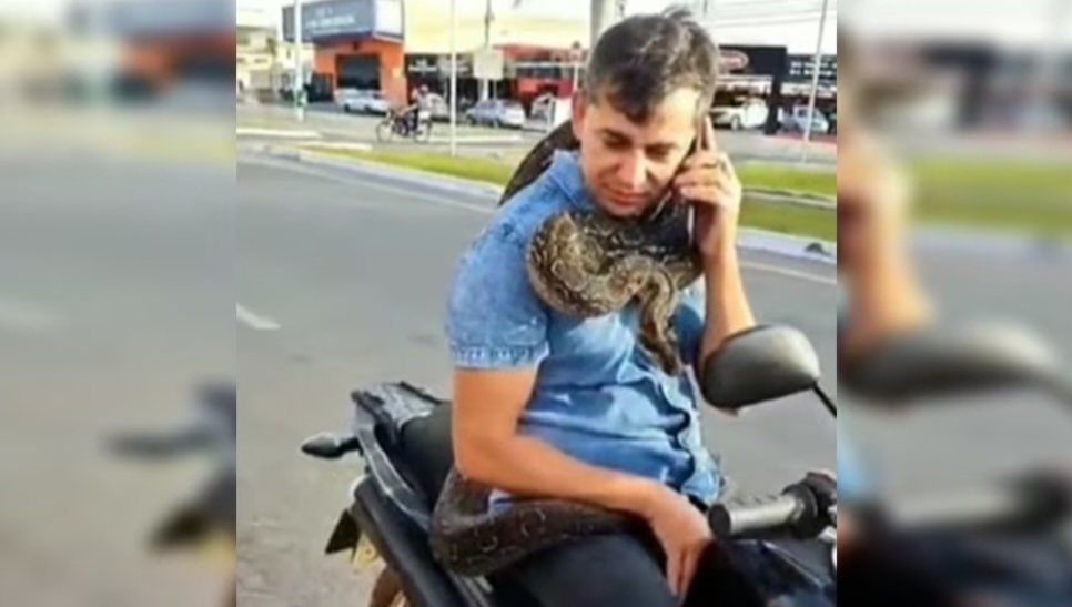 Vídeo: homem pilota moto com jiboia pendurada no pescoço