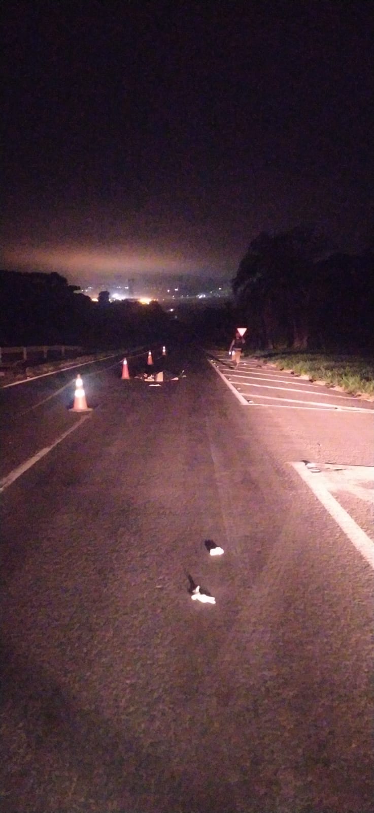 Mulher morre atropelada na PRC-373 em Ponta Grossa