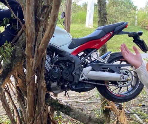 Motociclista bate contra árvore e é ejetado em grave acidente na região de Witmarsum