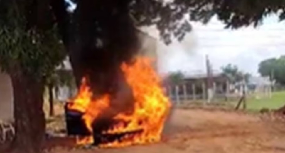 Vídeo: homem tenta espantar abelhas, mas coloca fogo em carro de luxo