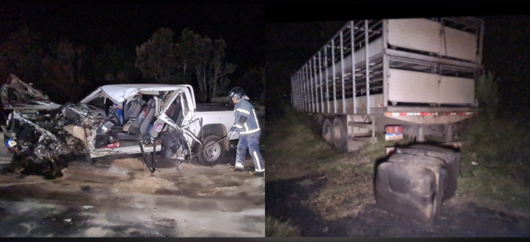 Urgente! Acidente envolvendo caminhão de porcos e camionete entre PG e Palmeira