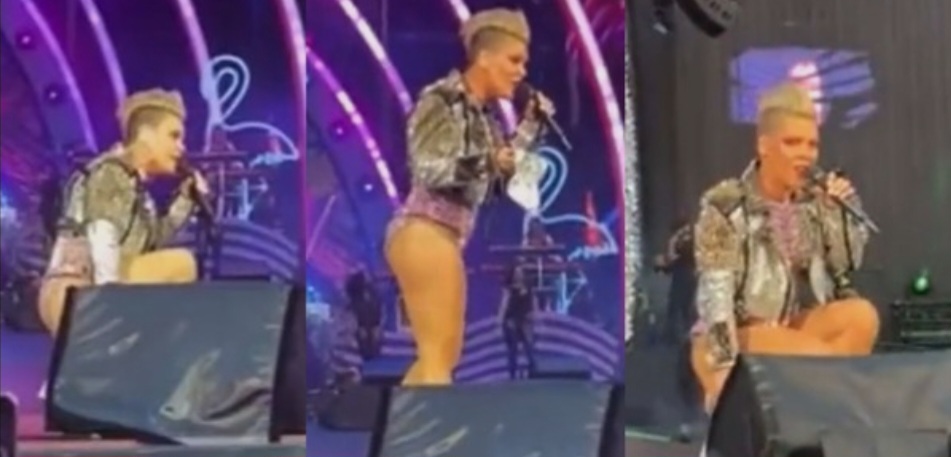 Fã joga cinzas da mãe no palco durante show da cantora Pink