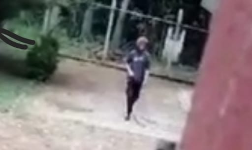 Vídeo: homem invade escola na Colônia Dona Luiza em PG