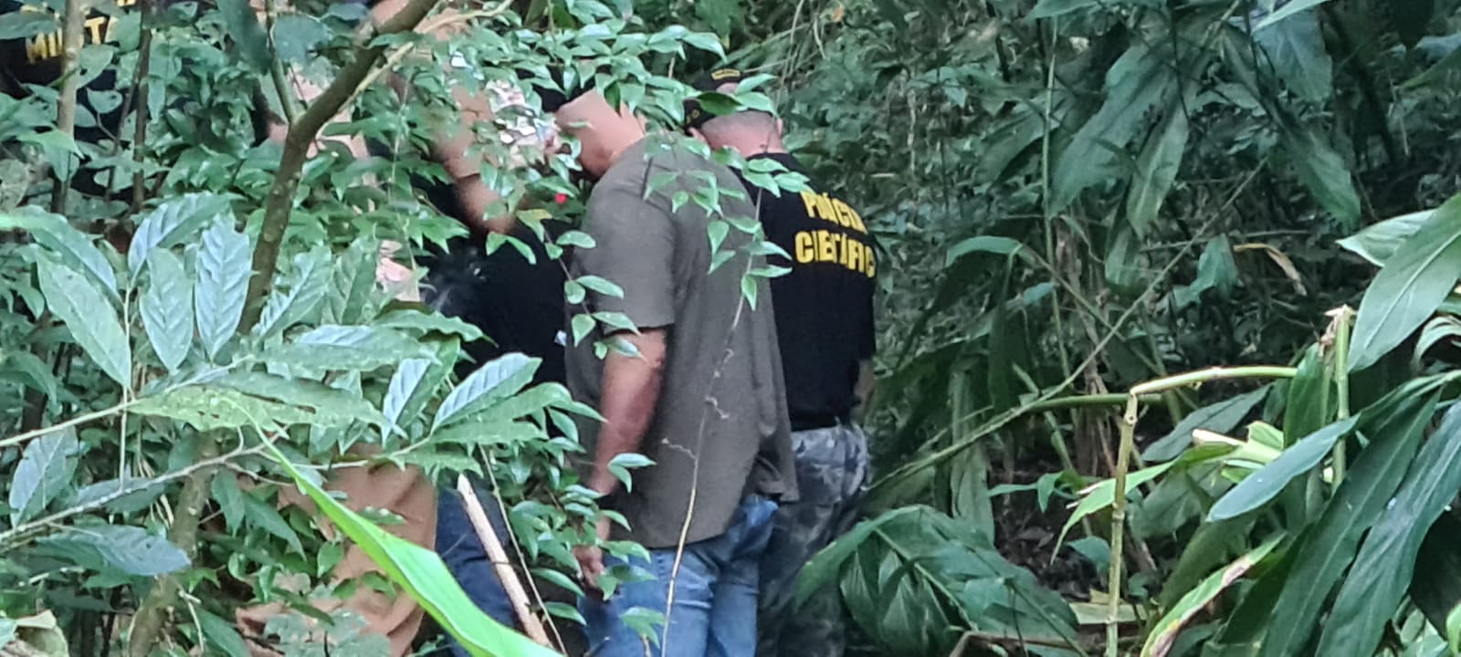URGENTE: Ossada humana é encontrada em matagal de Ponta Grossa