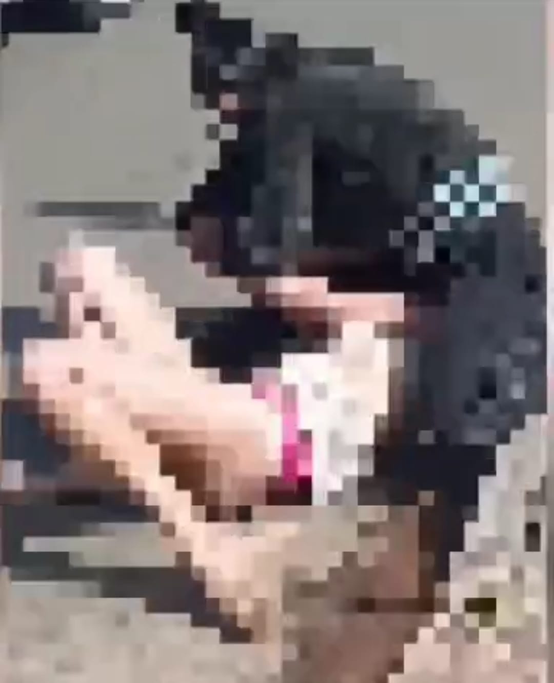 Vídeo: mulher é agredida violentamente em Ponta Grossa