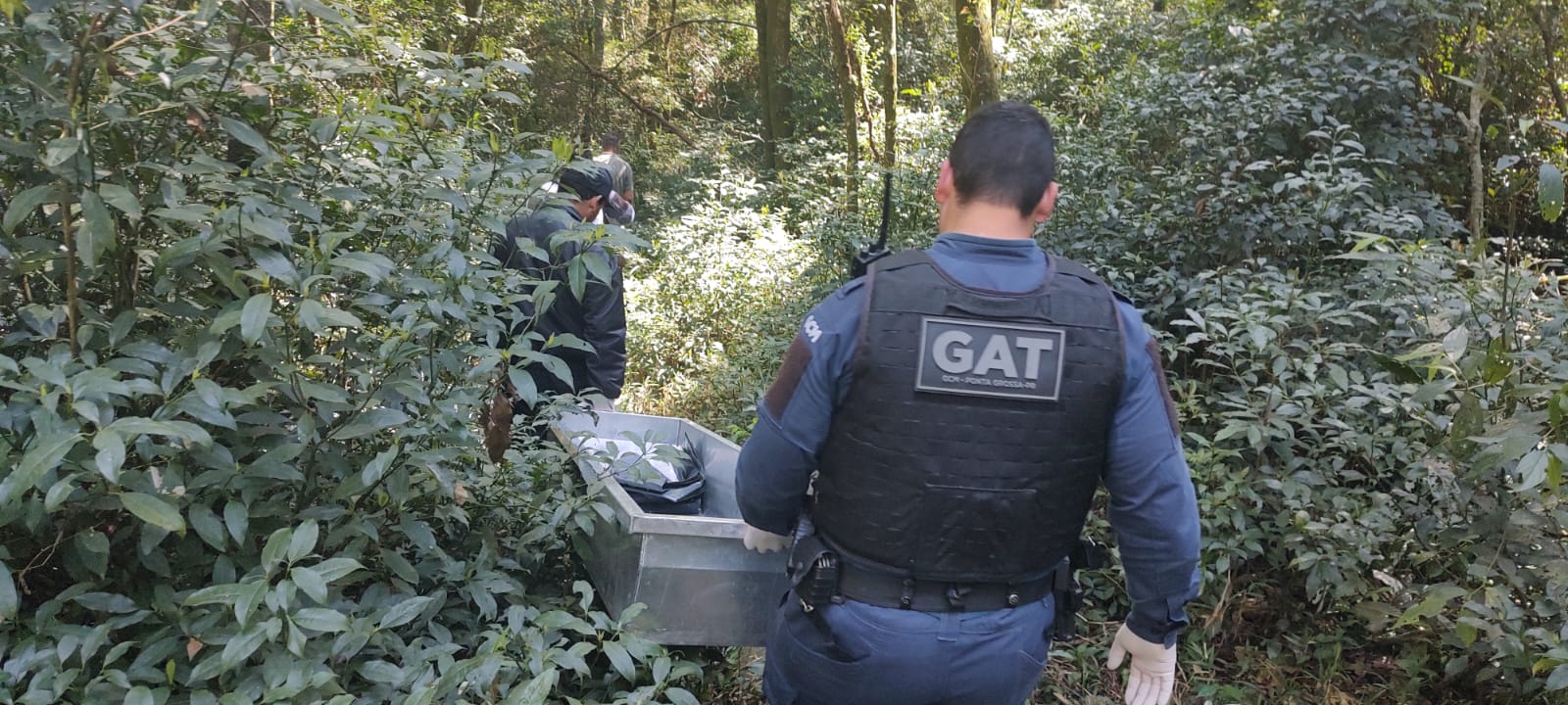 Vídeo: Corpo de homem é retirado de mata aos fundos da Câmara Municipal de Ponta Grossa