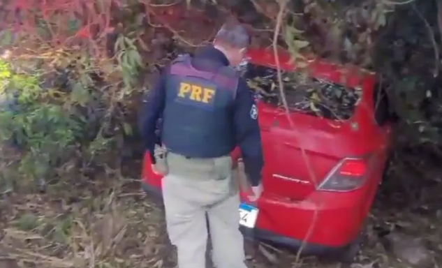 Mulheres batem carro carregado com 330 kg de maconha em árvore ao tentar fugir da PRF