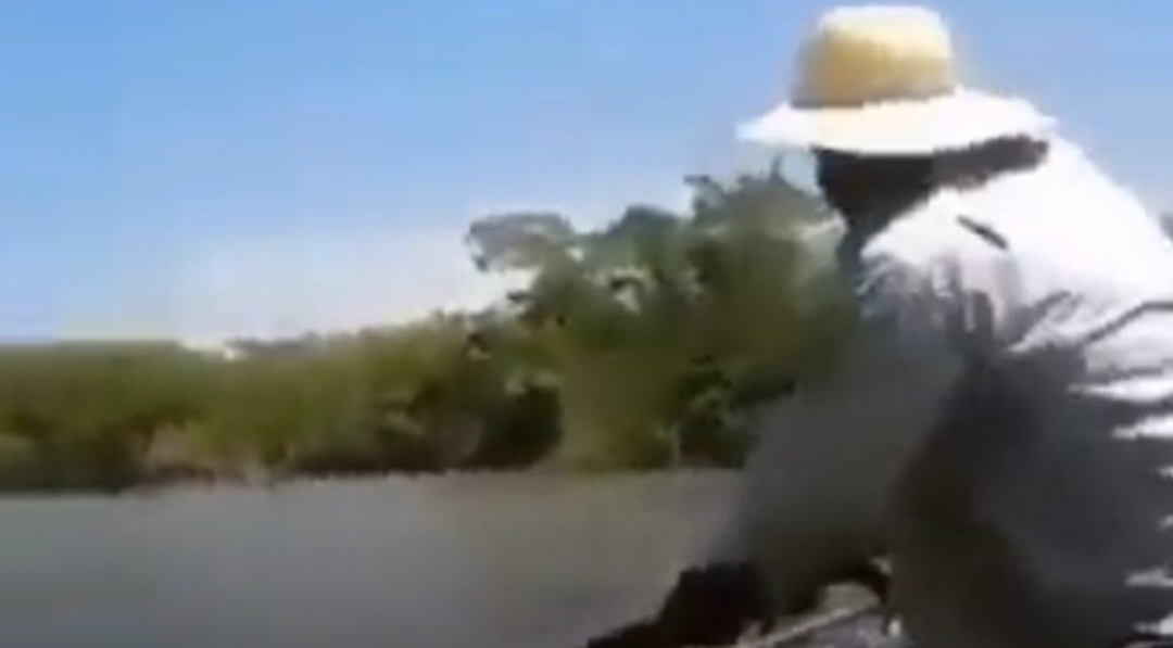 Vídeo: Sucuri se irrita ao ser segurada pelo rabo e balança barco com violência