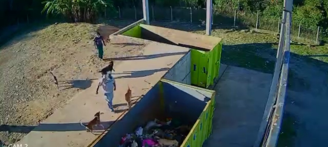 Dois homens são indiciados por chutar e arremessar cães para comer lixo