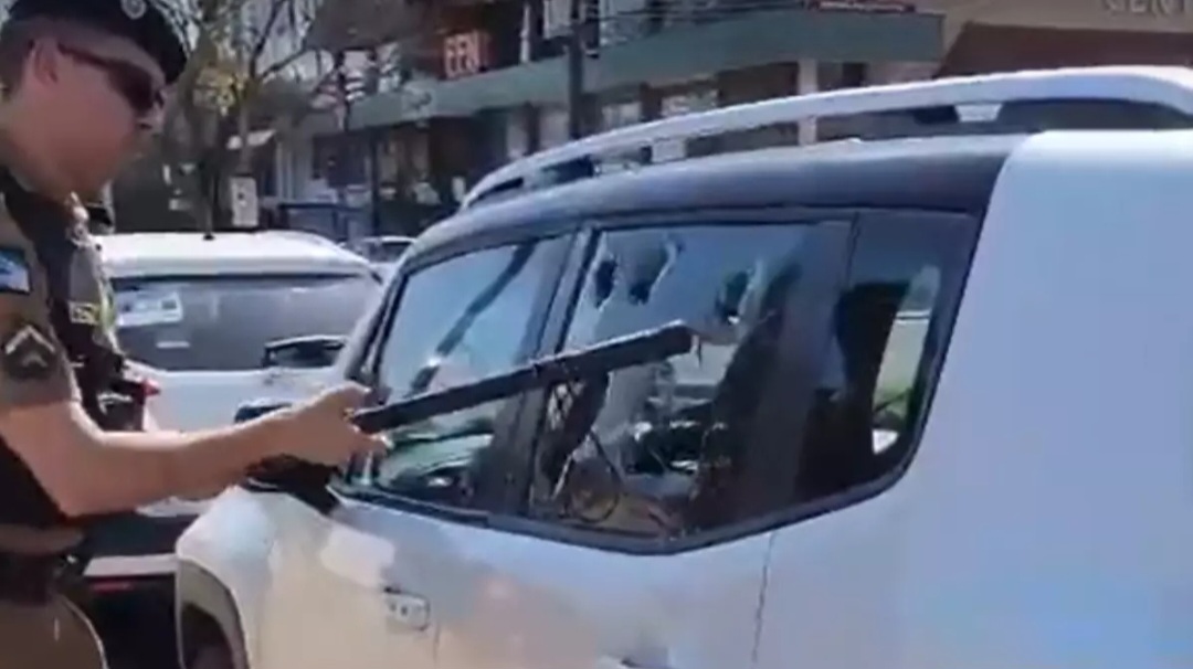 Vídeo: PM quebra janela de carro para salvar cão no PR