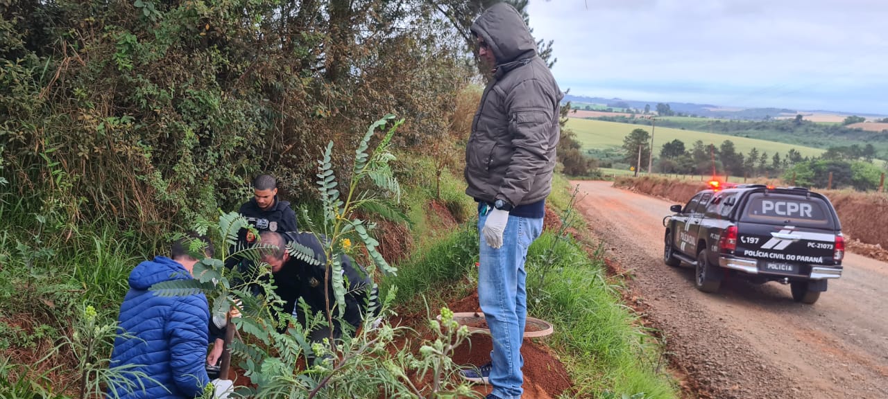 Vídeo: Cadáver é encontrado na Estrada do Kalinoski em Ponta Grossa