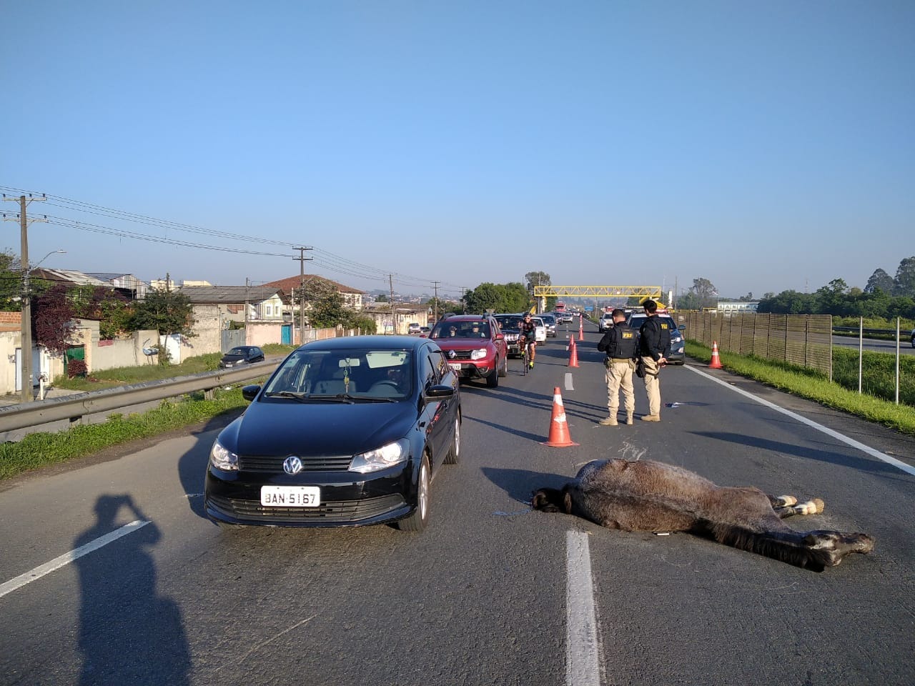 Motociclista morre após colidir com cavalo na BR-277 em direção ao litoral do PR