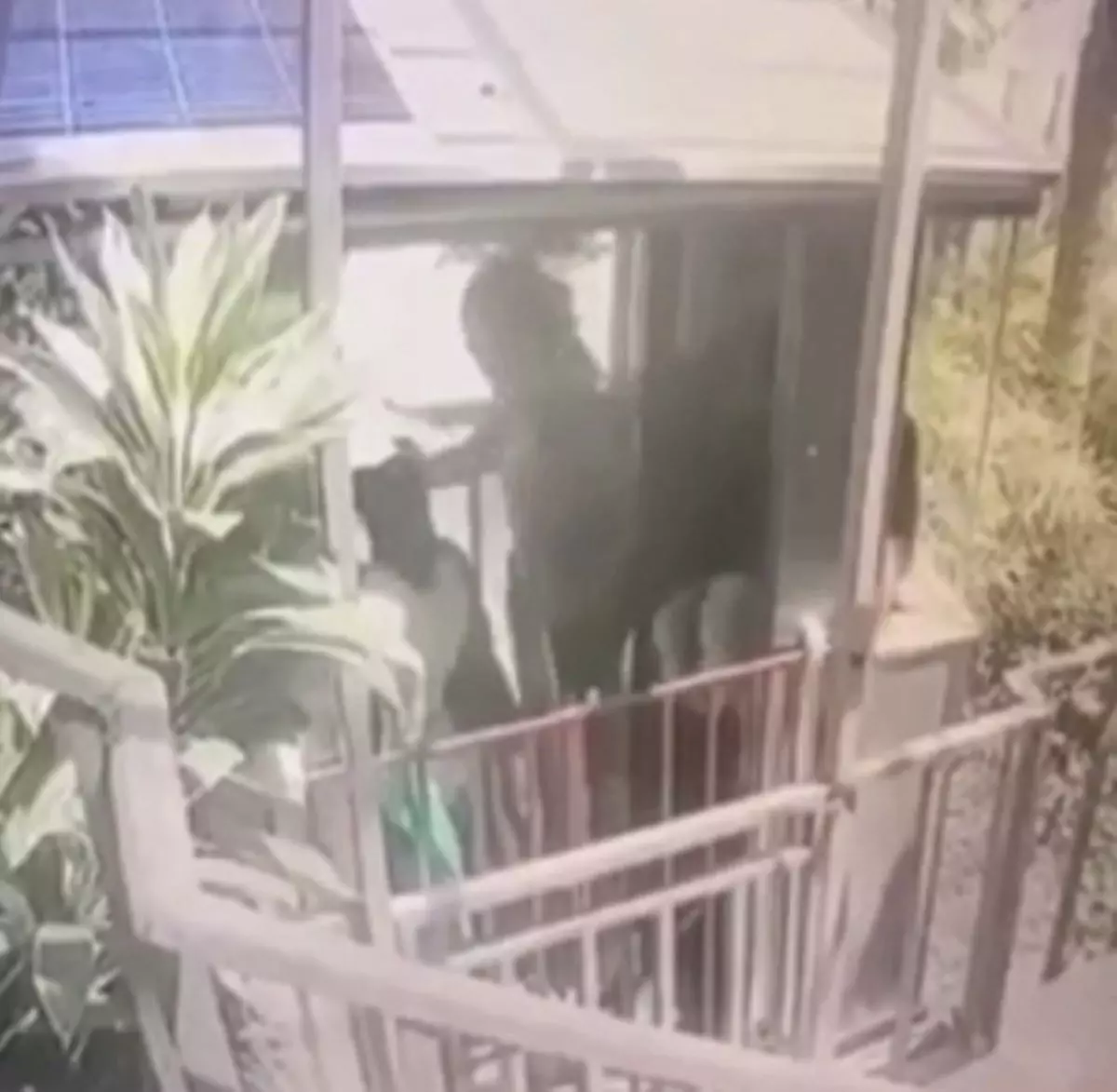 Vídeo: elevador despenca e mata cinco pessoas em resort de luxo