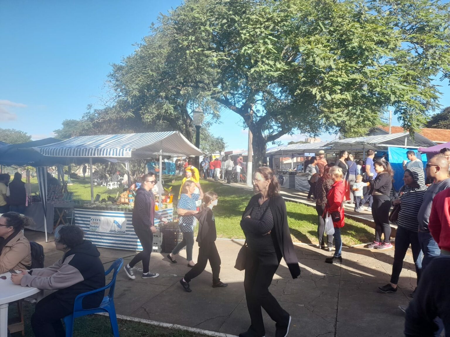 Feira Gastronômica terá concurso do trailer mais enfeitado em Ponta Grossa