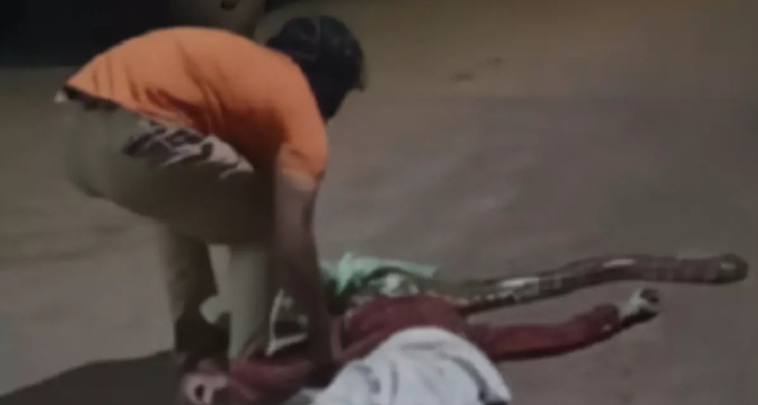 Vídeo: Homem bêbado é atacado e estrangulado por cobra em posto de gasolina