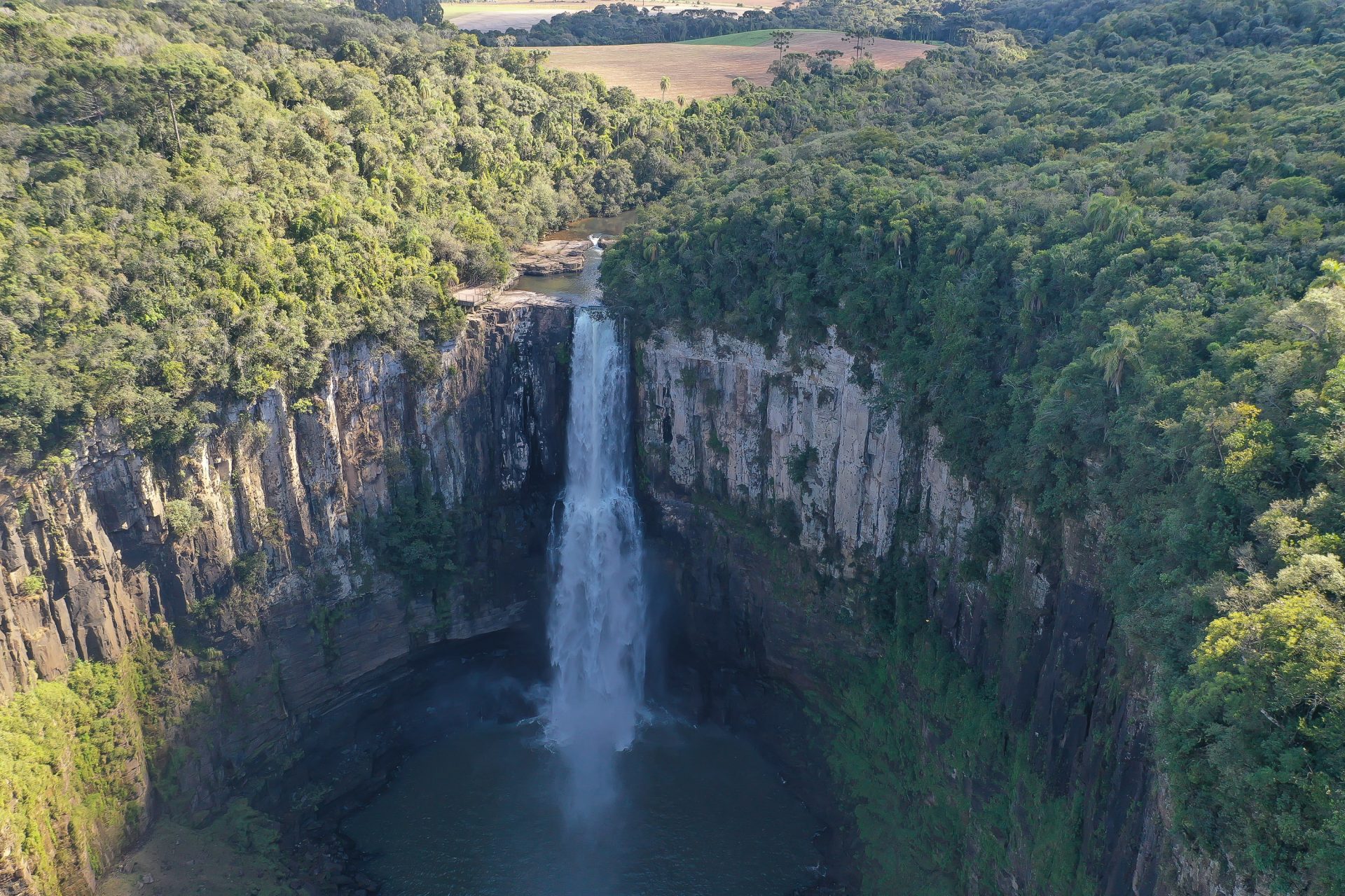 Unidades de Conservação do Paraná vão funcionar em horário normal no Natal e ano novo