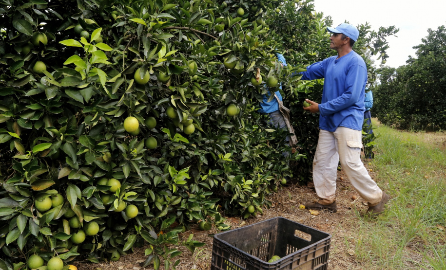 Agências do Trabalhador do Paraná têm 18,9 mil vagas