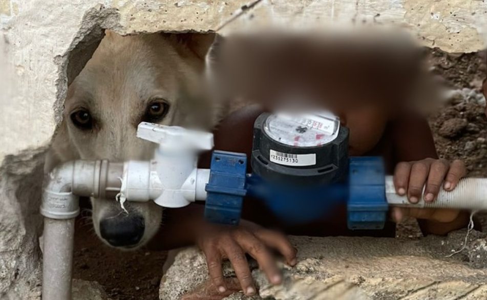 VÍDEO: Criança é encontrada sozinha, sem roupa e ao lado de um cachorro dentro de casa