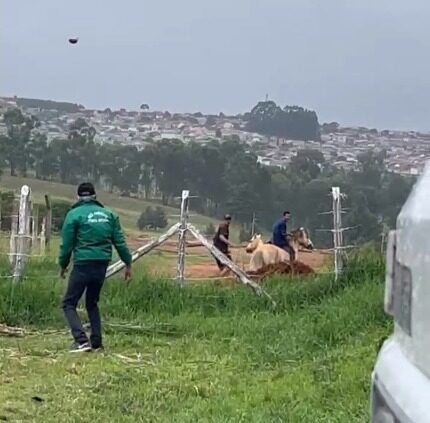 ‘Novo Cangaço’: Bandidos roubam cavalos e servidores do CRAR são agredidos em Ponta Grossa