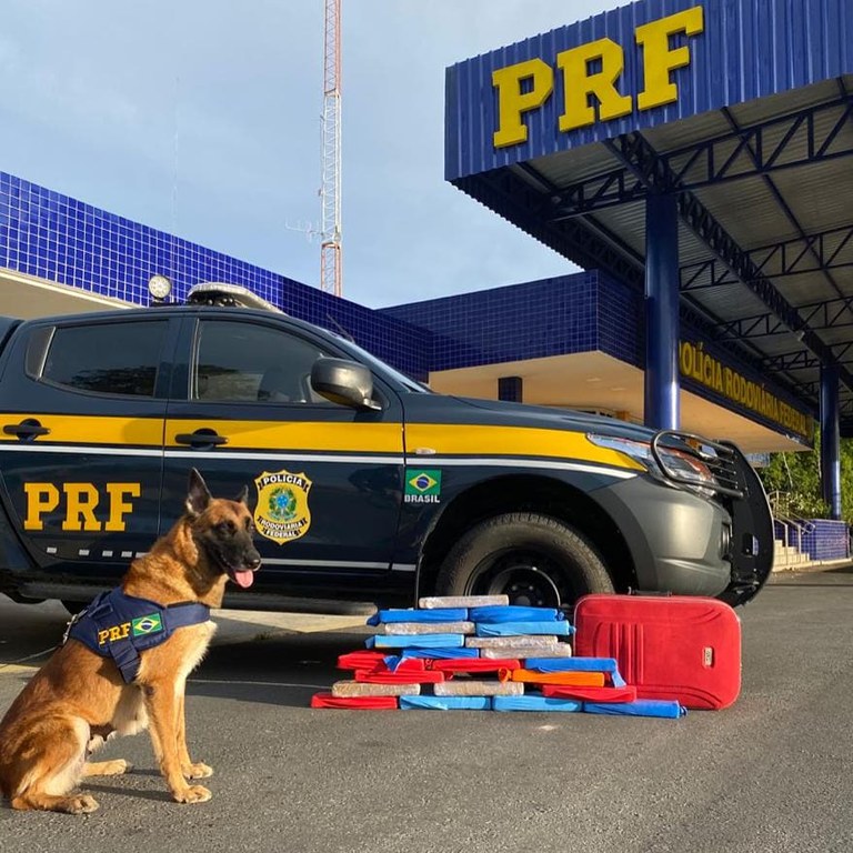 Cães policiais detectam cerca de 20 kg de drogas em veiculo