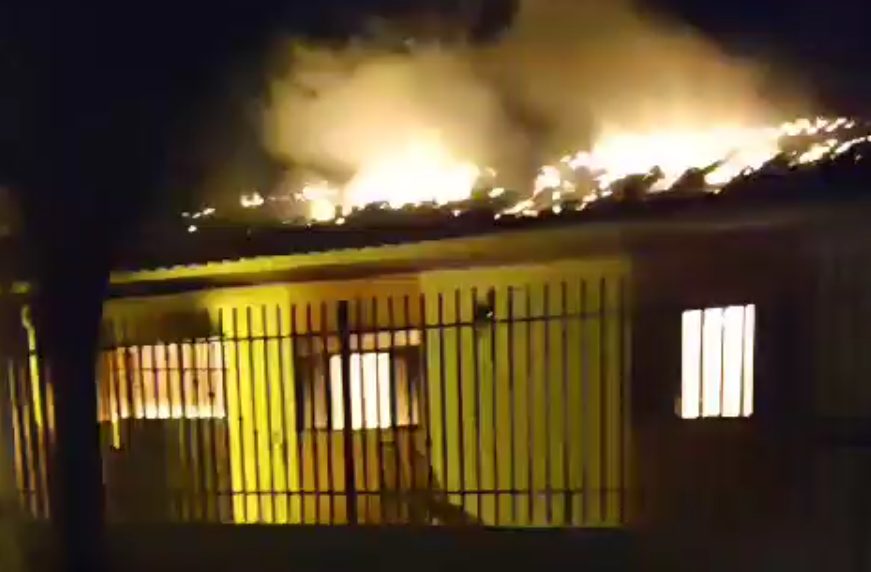 Cachorro invade casa com chamas em busca do dono no Paraná