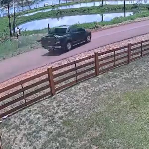 Vídeo: Motorista morre após tombar caminhonete dentro de lago