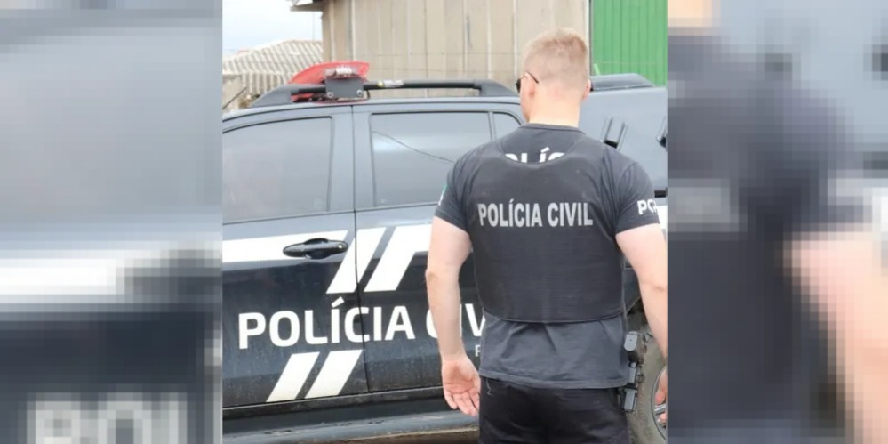 Polícia Civil de Castro prende homem suspeito de diversos furtos