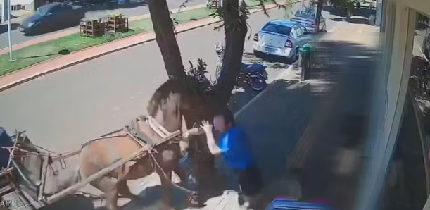 VÍDEO: Vereador é mordido por burro enquanto caminha pela calçada no Paraná