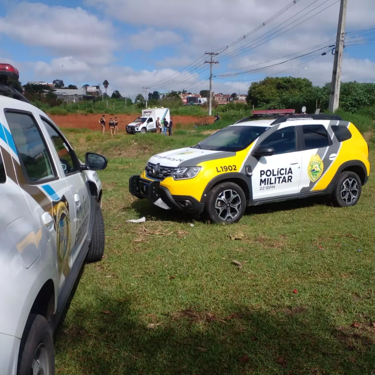 Cadáver é encontrado carbonizado em matagal