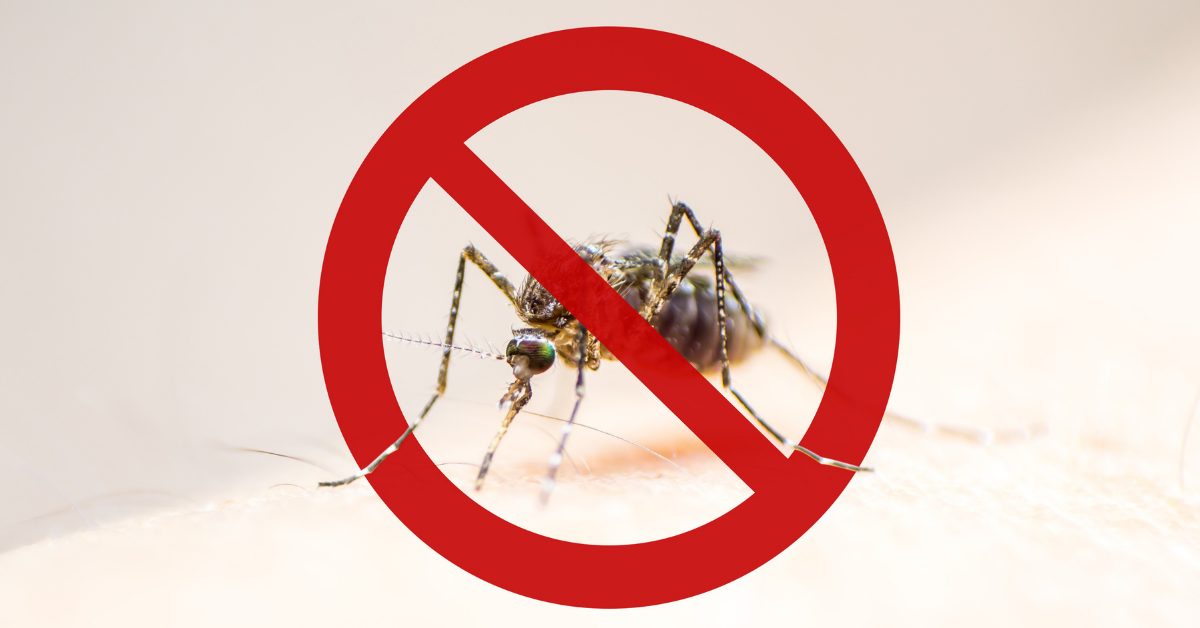 Combate a dengue: PG cria zap zap para denúncias de combate a dengue