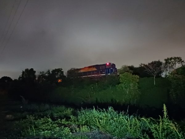 Homem morre atropelado por trem