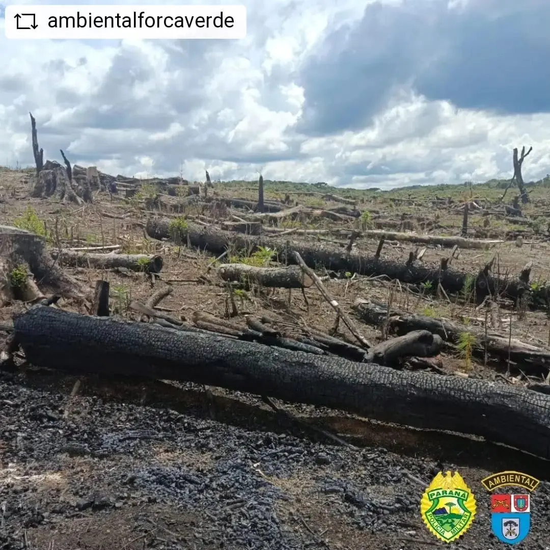 Dois suspeitos são multados em mais de R$ 2 milhões por desmatamento ilegal no Paraná