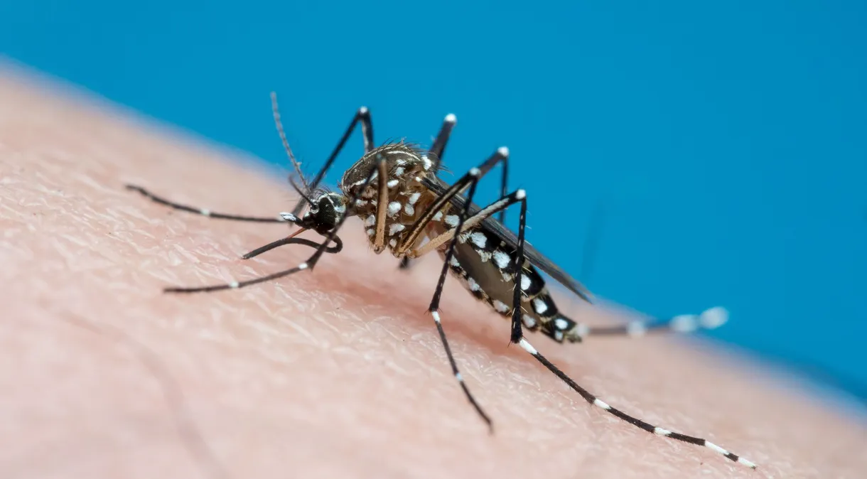 Novas medidas de combate à dengue são definidas em Ponta Grossa