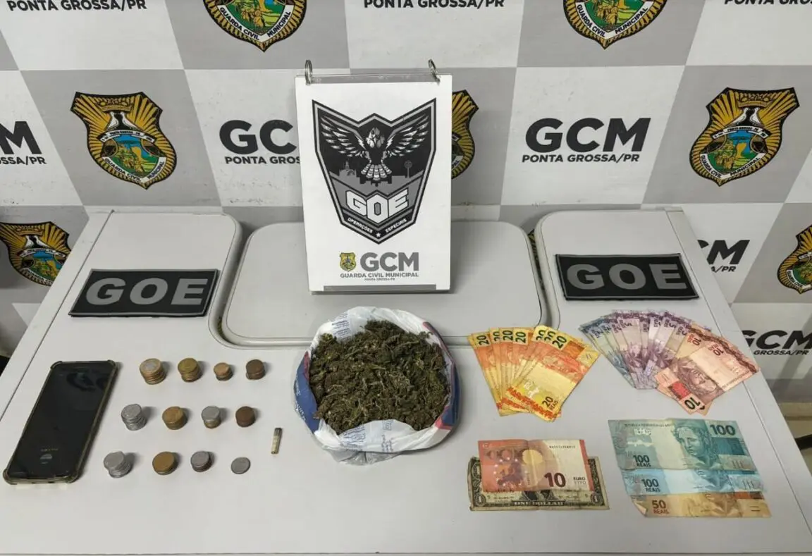 “Bandido internacional” é preso com Dólar, Euros e maconha com alto THC em PG