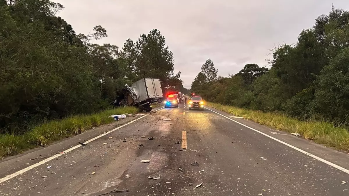Morre motorista de caminhão com placas de PG em rodovia da região