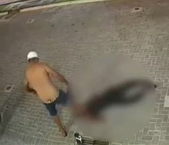 Vídeo: Câmera flagra homem sendo pisoteado até a morte