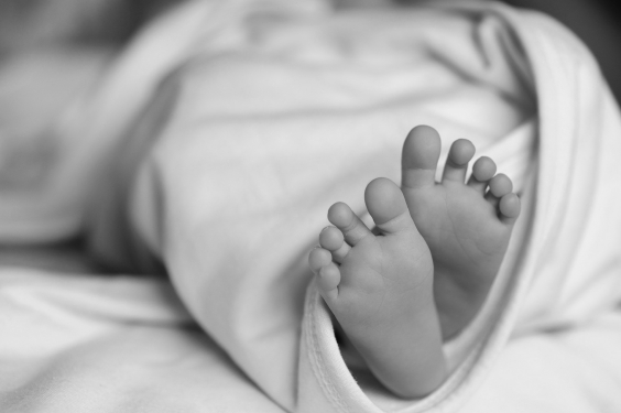 Recém-nascido morre de dengue horas após parto em Toledo