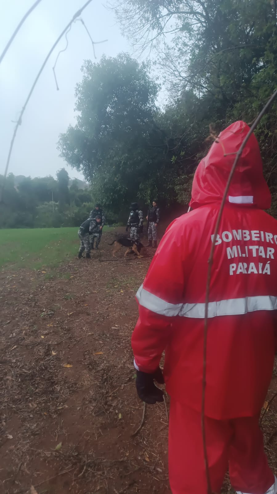 Bombeiros retomam buscas por homem desaparecido em PG