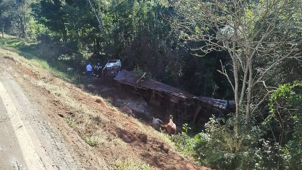 Capotamento mata seis cavalos e deixa duas pessoas feridas