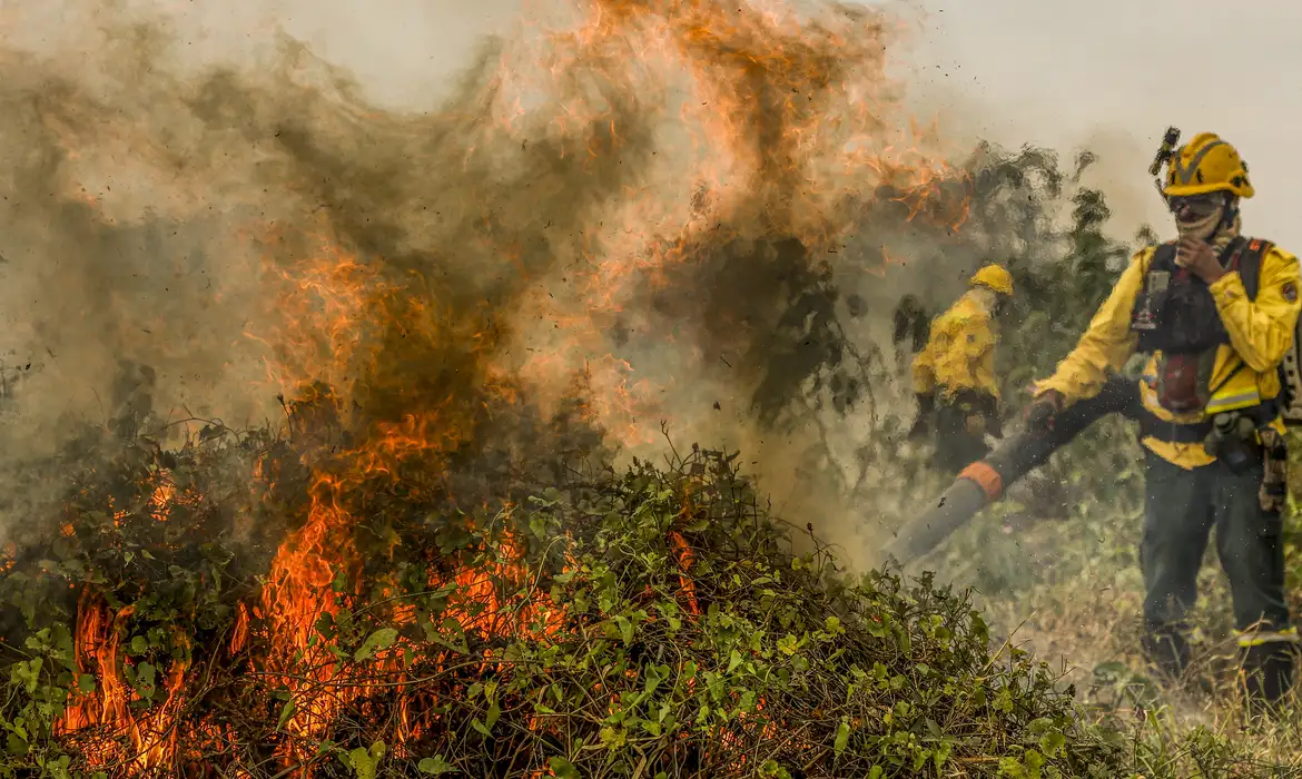 Fogo já consumiu 1,3 milhão de hectares no Pantanal