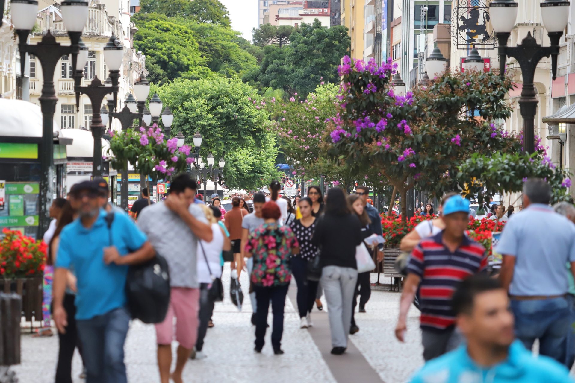 População do Paraná deve ultrapassar 12 milhões de habitantes até 2027, aponta IBGE