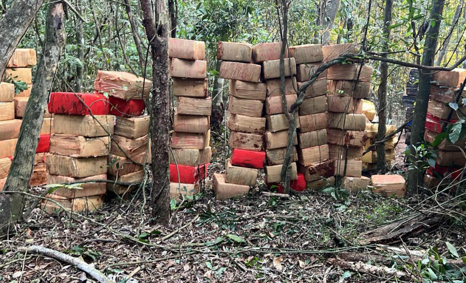 Polícia apreende 6 toneladas de maconha no Paraná