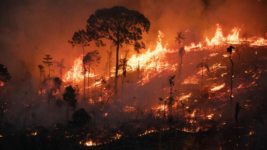 Idoso morre carbonizado em incêndio ambiental na zona rural de Ponta Grossa